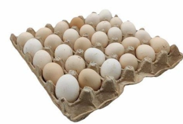 كرتونة بيض بلدي